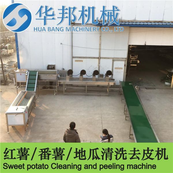 紅薯清洗機 紅薯清洗流（liú）水線 支持加工定製