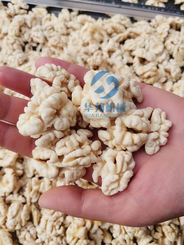 核桃仁去皮深加工 提高核桃附加值（zhí） 解決核桃仁滯銷問題