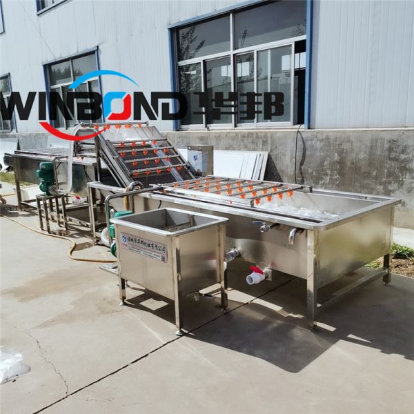 蔬（shū）菜清洗機 葉菜（cài）清洗機 中藥材（cái）清洗機