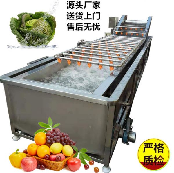 多功能蔬菜清洗機 水果蔬菜清洗機（jī）  淨菜加（jiā）工設備