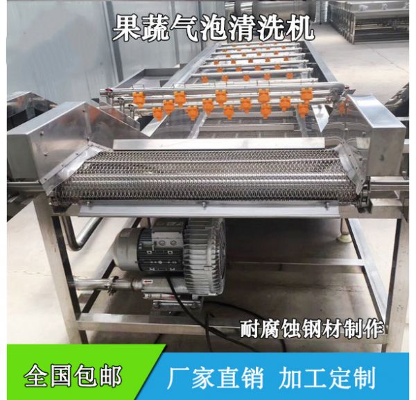 葉菜清洗機 淨菜加工蔬菜清洗機 氣泡洗魚洗肉機