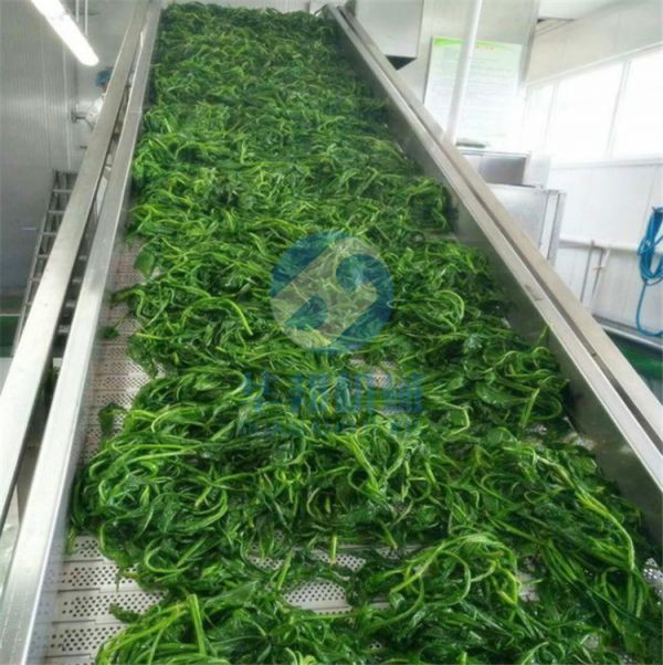 桑芽菜漂燙機 桑芽菜加工設備（bèi） 水果蔬菜漂燙殺青機